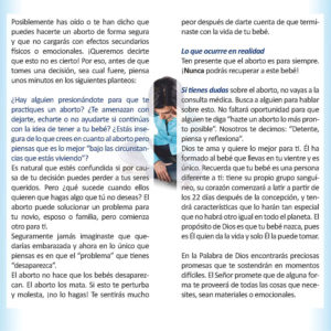 Tomando una Decisión - Realidades sobre la interrupción del embarazo - Imagen 2